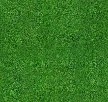 Ковролин Flotex Vision Image 000369 Grass фото 1 | FLOORDEALER